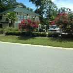 South Carolina Hilton Head Island Palmetto Storage photo 1