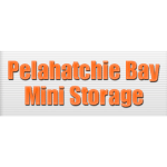 Mississippi Brandon Pelahatchie Bay Mini Storage photo 1