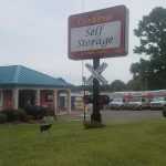 Mississippi Olive Branch Cordova Self Storage at Shelby Farms photo 1