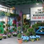 Pennsylvania Wilkes Barre Flower Warehouse photo 1